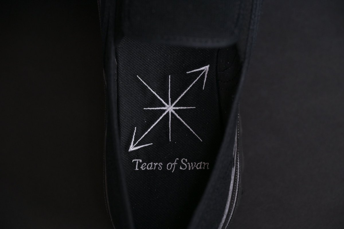 Tears of Swan (@tears_of_swan) / Posts / X