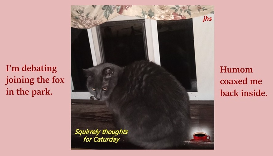 J. Hali Steele tweet media