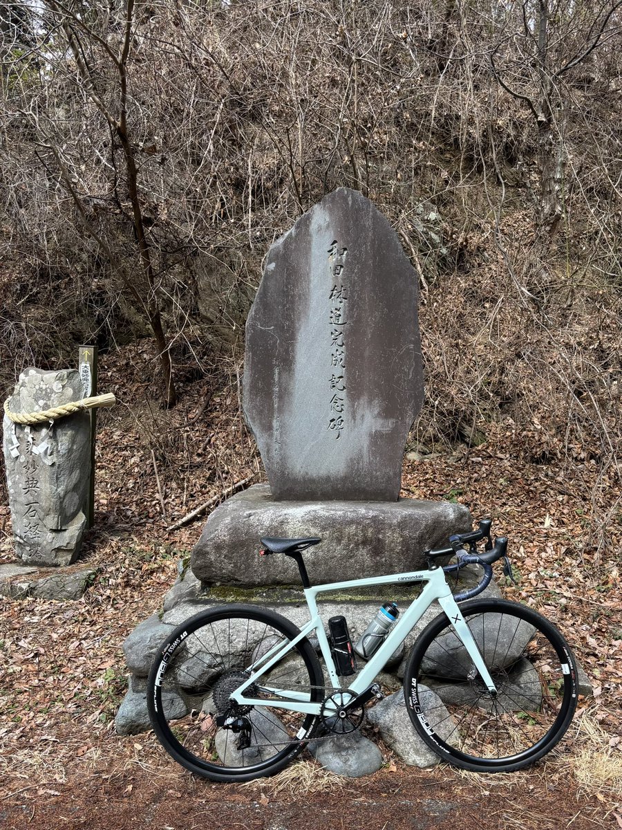 COG_shino's tweet photo. 今日は和田活！
#cannondale https://t.co/KxvXrVL8NJ