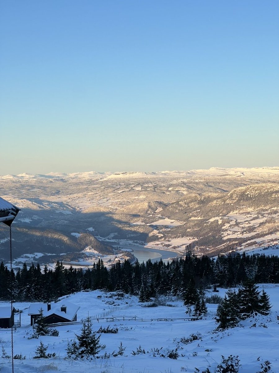 🌍 𝐅𝐨𝐫𝐦𝐨 tweet media