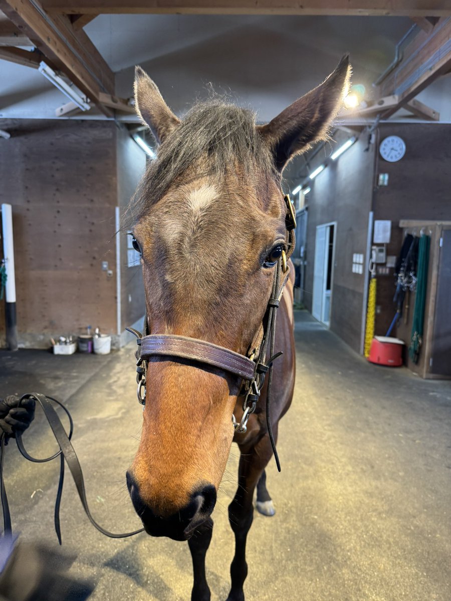 いくせ tweet media