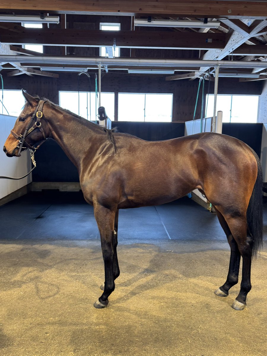 いくせ tweet media