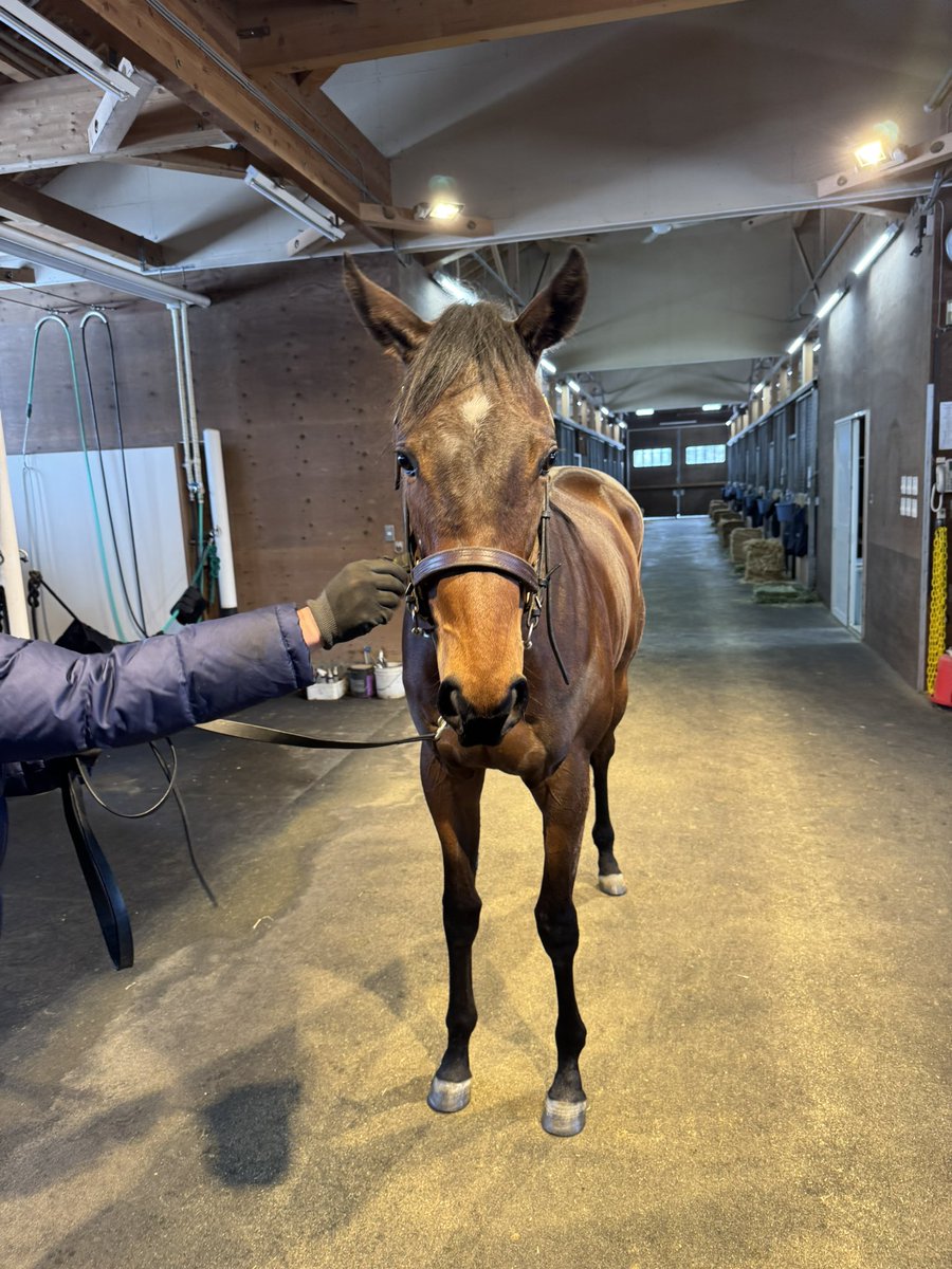 いくせ tweet media