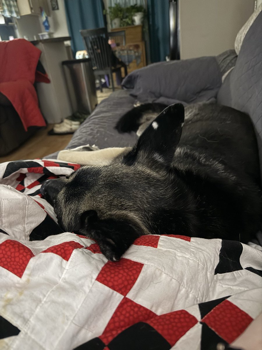 Nelson Cash tweet media