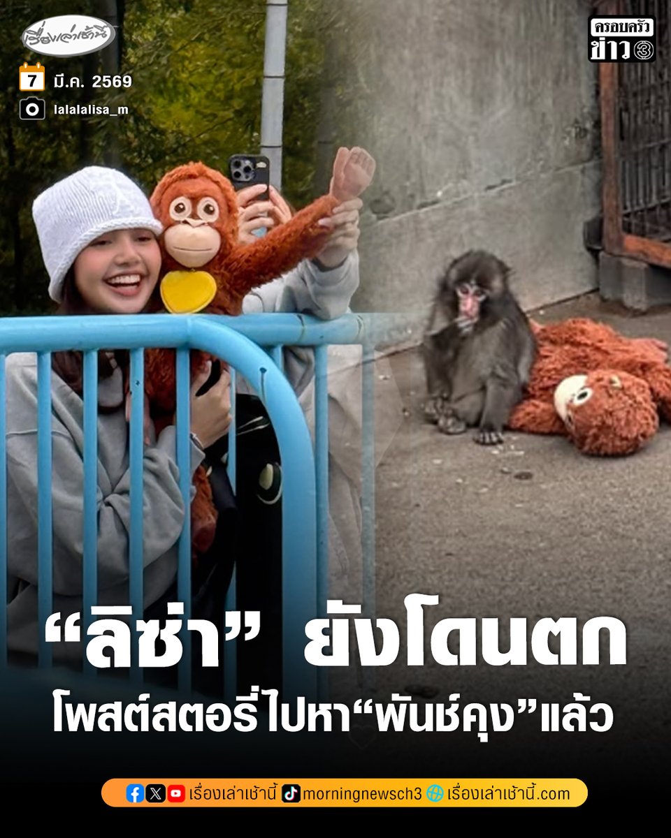 กลายเป็นกระแสไวรัลหนักมาก สำหรับน้องพันช์คุง ลูกลิงหิมะจากสวนสัตว์อิชิกาวะ ประเทศญี่ปุ่น ที่เชถือเป็นขวัญใจชาวโซเชียลตัวล่าสุด กับภาพสุดน่าเอ็นดู ถือตุ๊กตาอุรังอุตังเดินไปมา หลังถูกแม่ปฏิเสธเลี้ยงดูตั้งแต่แรกเกิด ทำให้น้องปรับตัวเข้ากับฝูงยากและมักถูกลิงตัวอื่นแกล้ง