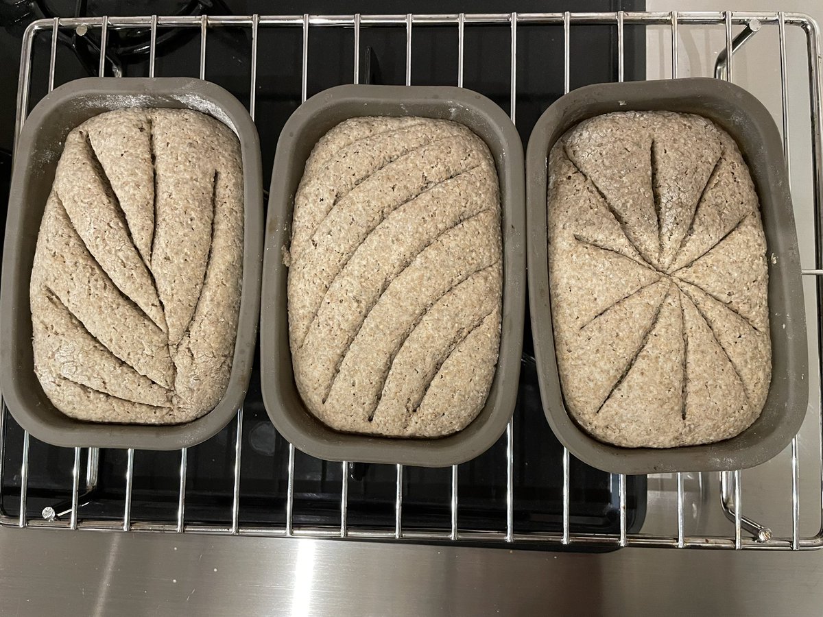 tanne_hamacho's tweet photo. オリジナルの、小ぶりにはなりますがライ麦パンを焼きます。サワー種から起こし、乳酸菌香るパンを久しぶりに〜 https://t.co/LnofEsvwrr