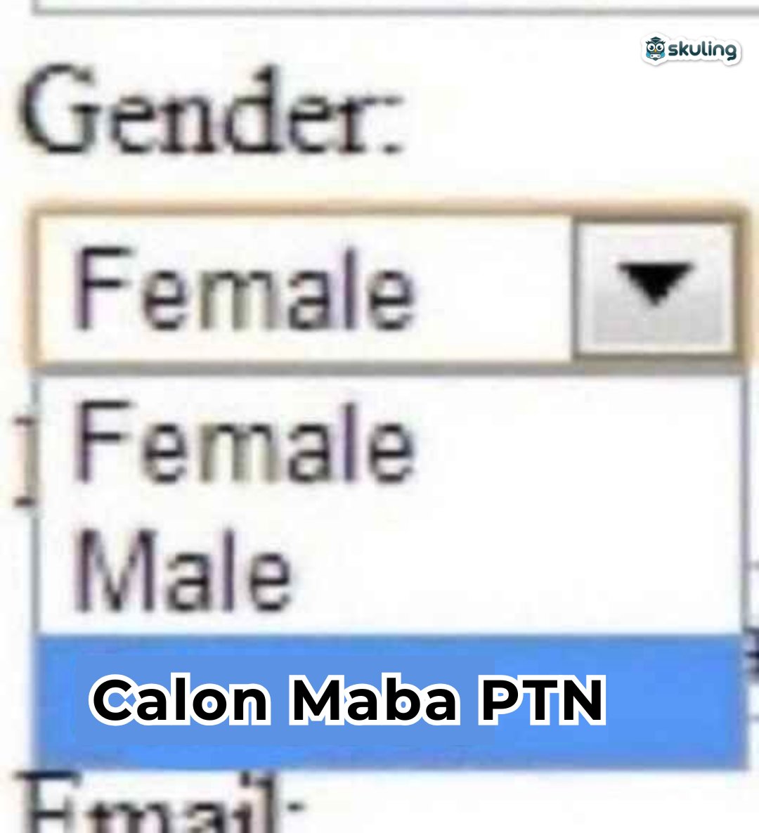 Skuling | Latsol & TO SNBT, TKA, Kedinasan tweet media