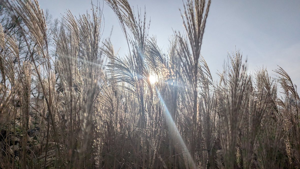 Chi ☆ VTuber tweet media