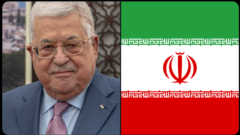 Hazar Tandoğan tweet media