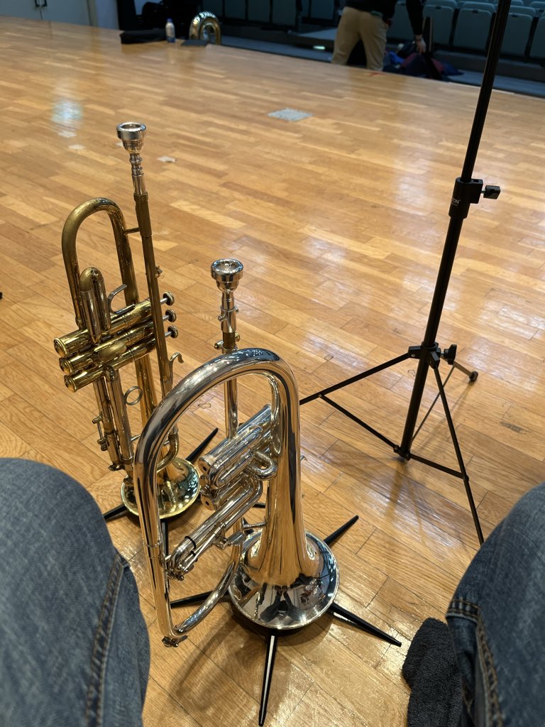 あねやん.tp🎺Aneyan, a trumpeter 🇯🇵 tweet media