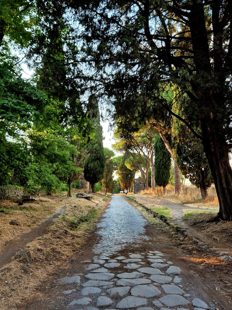 Perpetuum Mobile tweet media