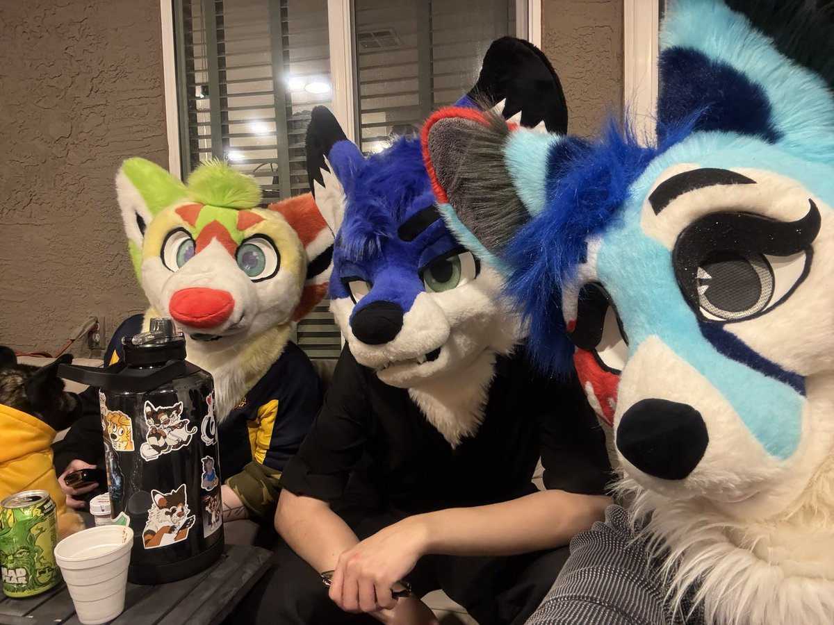 Splat Fennec 🔜 LVFC tweet media