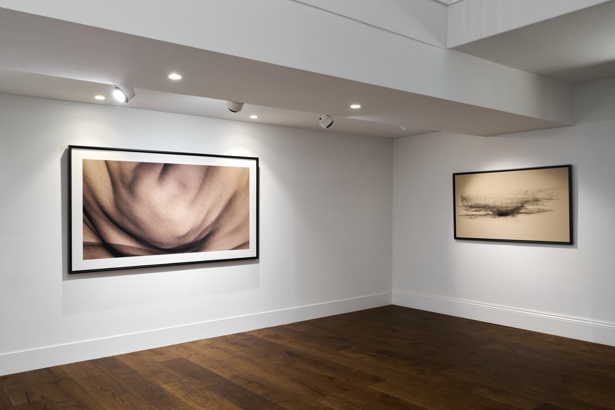 Toni Marinara tweet media