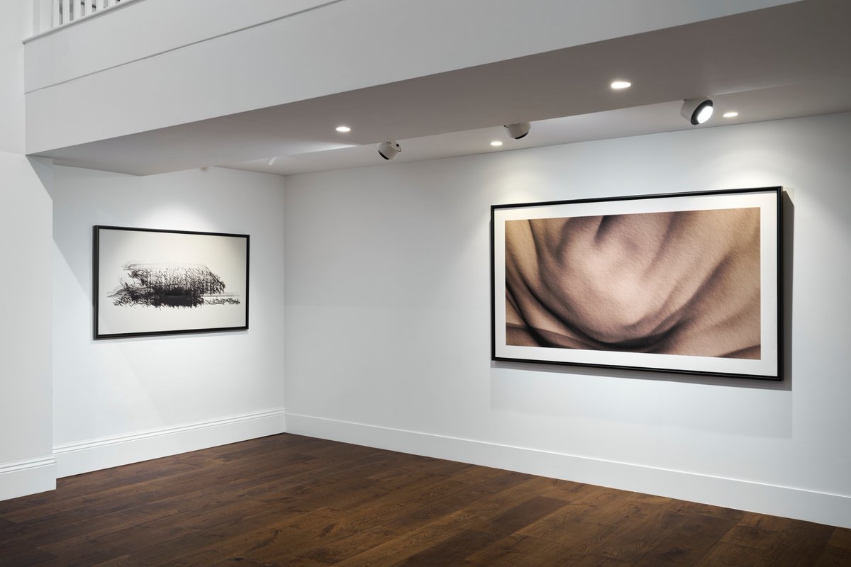 Toni Marinara tweet media