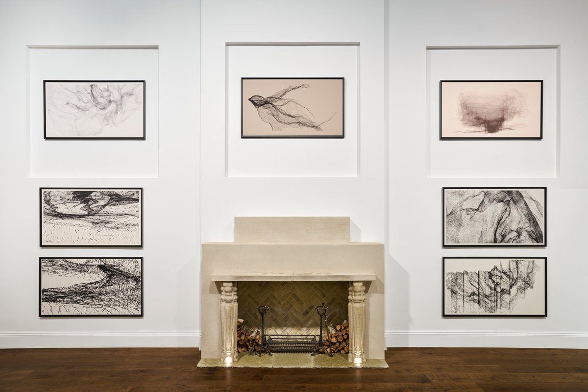 Toni Marinara tweet media