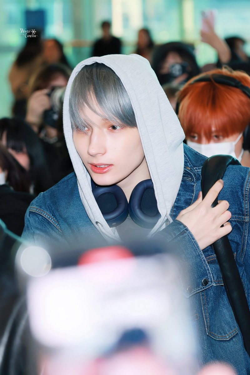 WinterCamellia tweet media