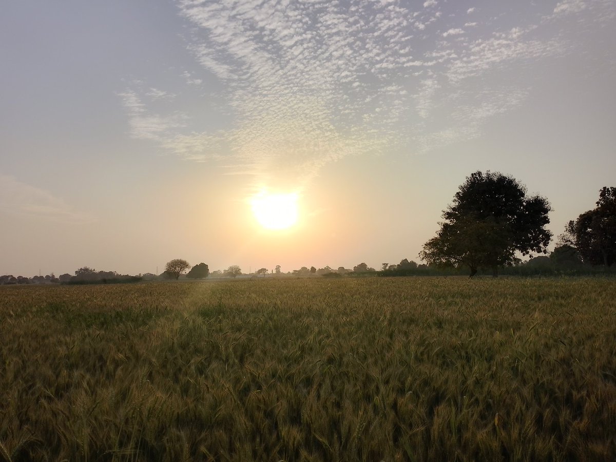 PratibhaEvolves's tweet image. Quote your 
Photography skills.....!!

Photography ke naam pr mujhe toh, bss ye hi aata hai😇👇🏻