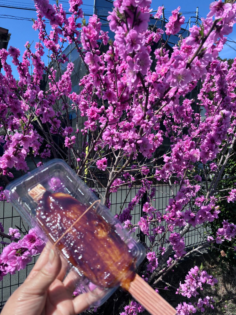 ウィンディ（浜松ケーブルテレビ） tweet media