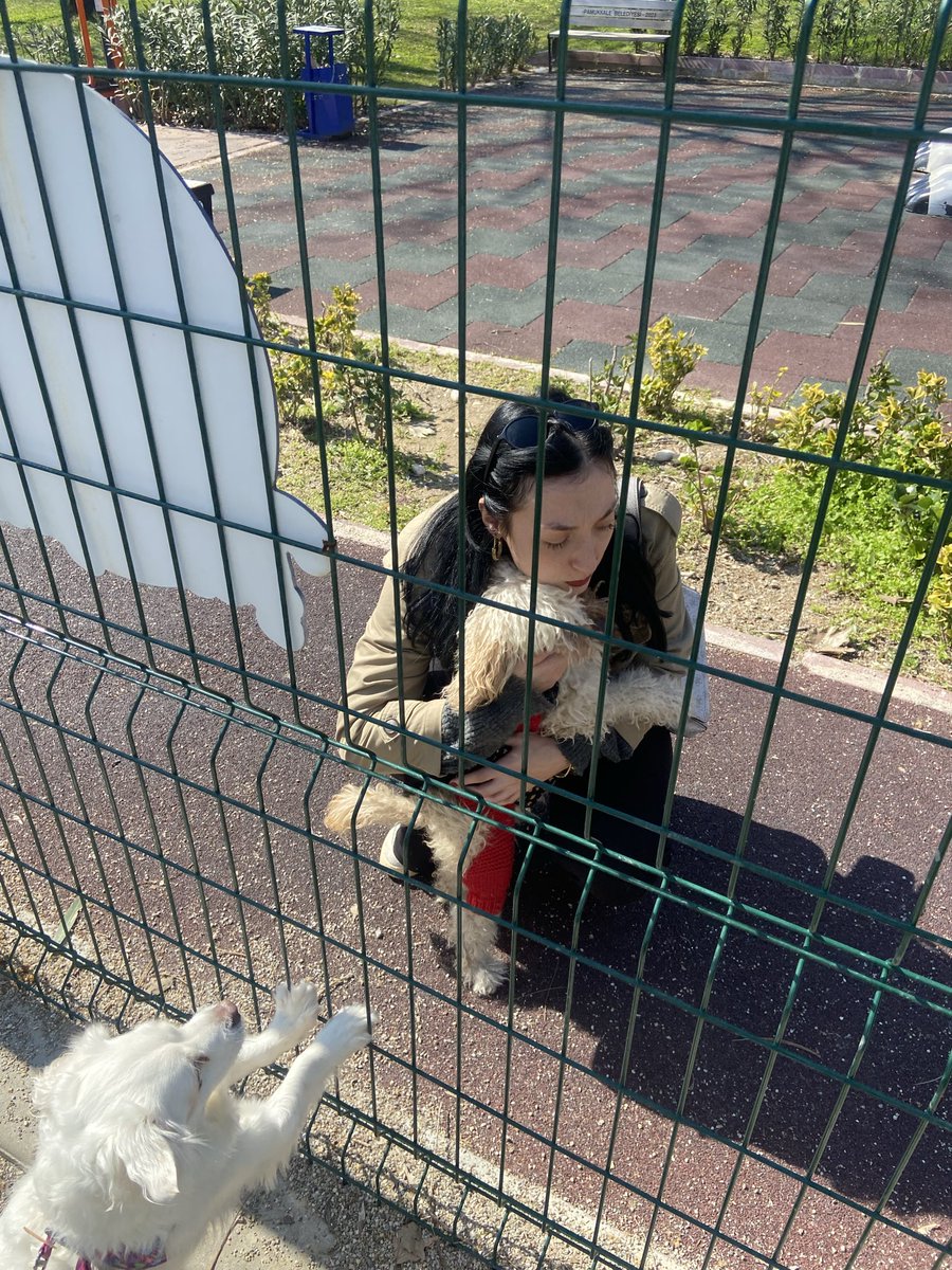 evladının önünde başkasını seven anne

şerefin var mı şerefin