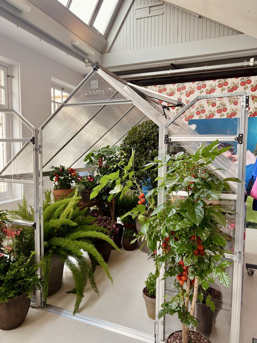 mel 🪐 tweet media