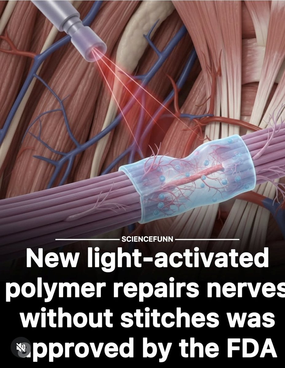 وليد صادق tweet media