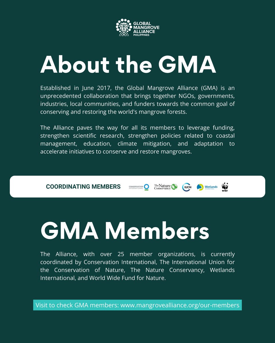 Global Mangrove Alliance PH tweet media