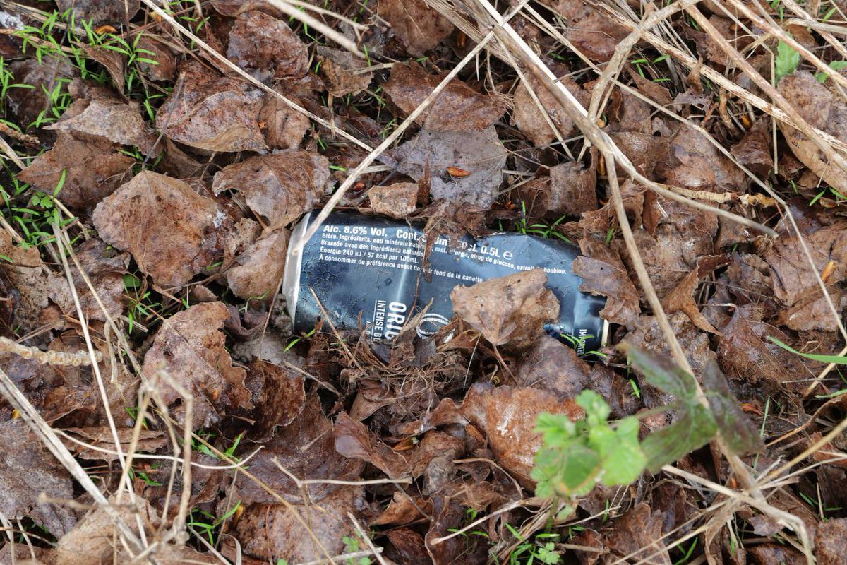 hautsdefrance's tweet photo. 🌸 L’opération #HDFPropres se poursuit tout le week-end !
♻️ Comme ici à Itancourt, partout en #hautsdefrance, les habitants se mobilisent pour préserver la nature et protéger la biodiversité.
🍀 Rejoignez un point de collecte près de chez vous 👉 https://t.co/2q7BhcSMVR https://t.co/e1SOnNGMRc