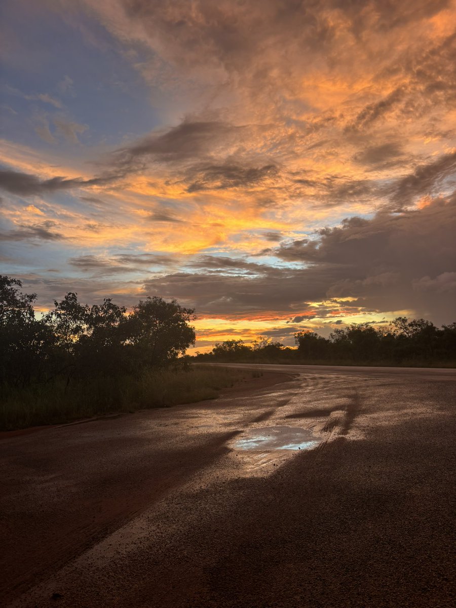 ここあ😈😈 tweet media