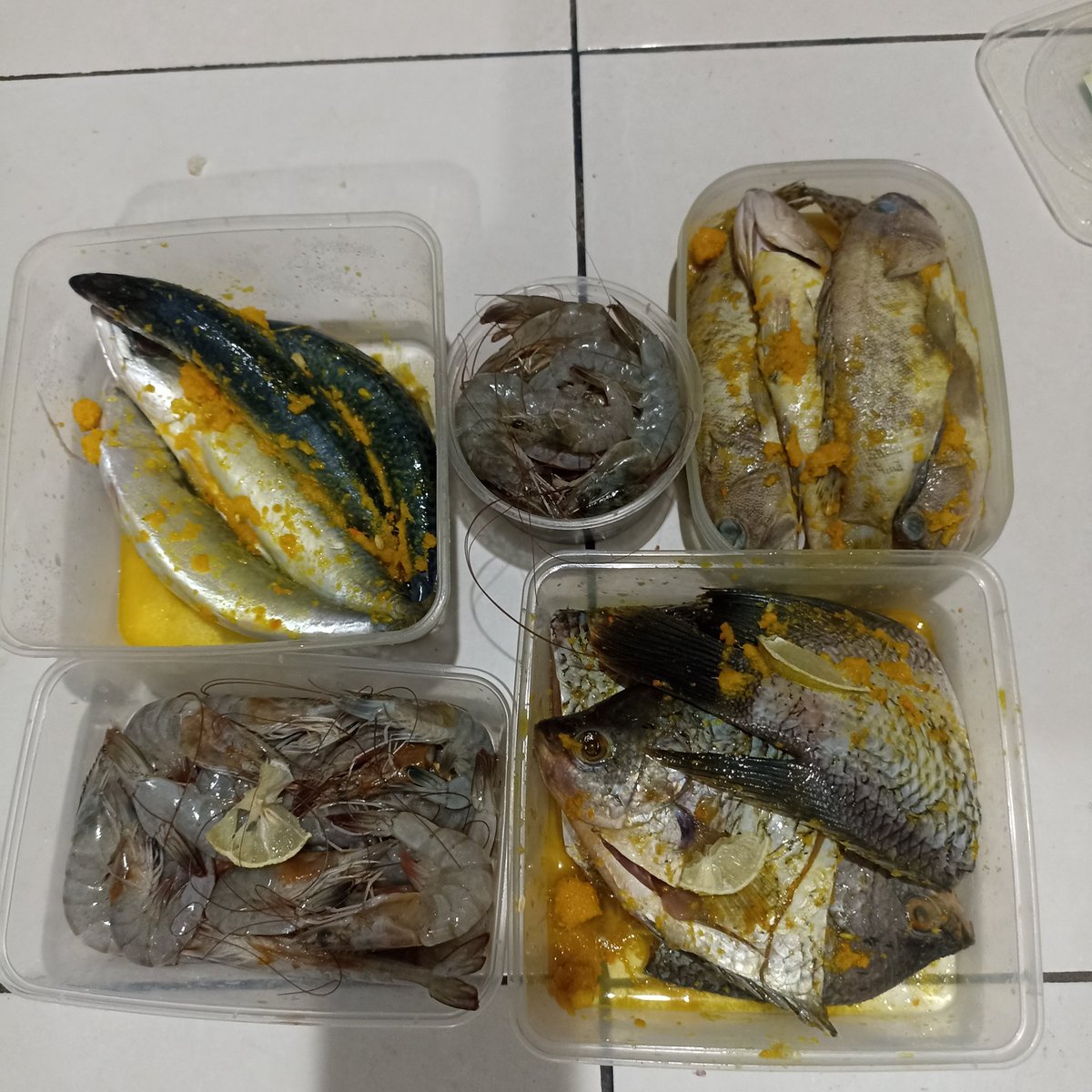 titik88977423's tweet image. #Foodprep ikan ikan 🐟🐠🐋🐳🐬🦈

Ga pandai masak ikan berkuah
Jadi marinasi aja pake bumbu kuning supaya tinggal goreng 😺

Kamu suka ikan ga?