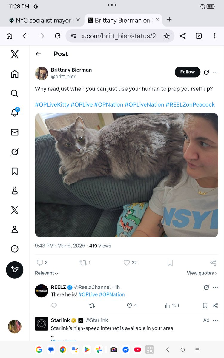 Deb Stage IV Survivor One More Day Paulsen tweet media