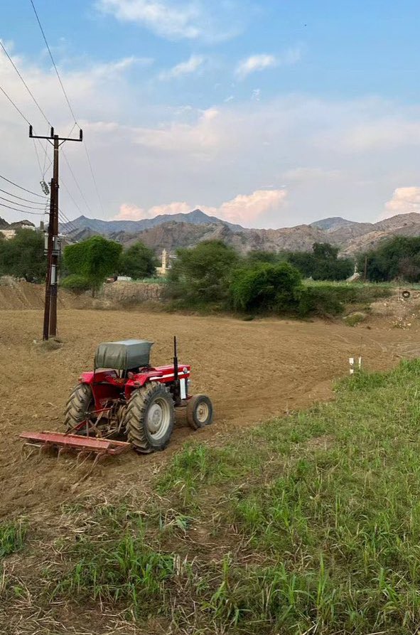 154Figen9z tweet media