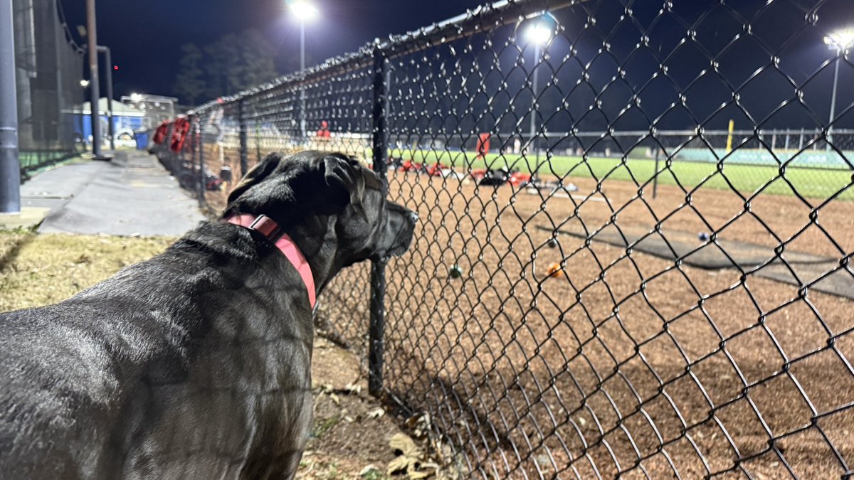 Mike Fetscher tweet media