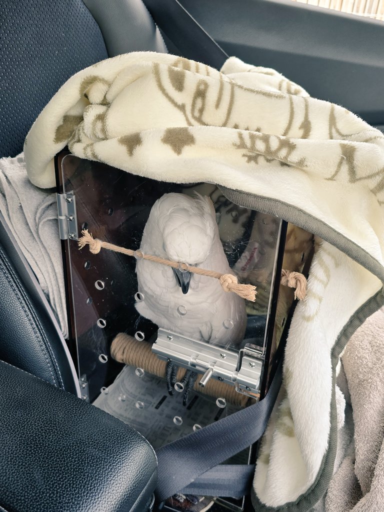 なーこ tweet media