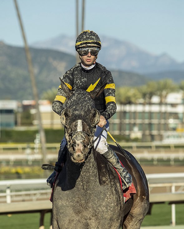 George Papaprodromou Racing tweet media