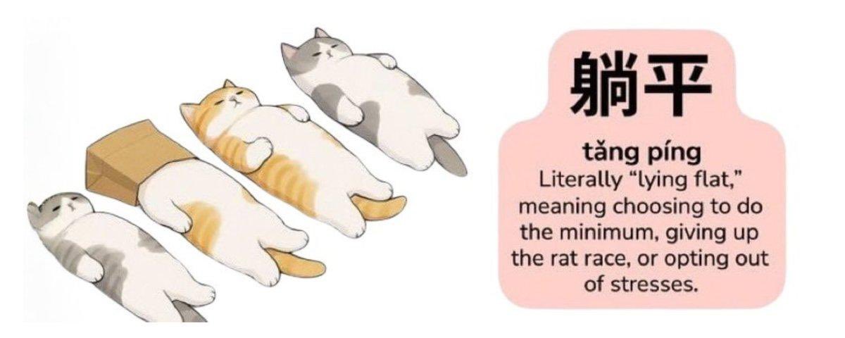 SpiderCrypto 🧑‍🍳🧲 tweet media