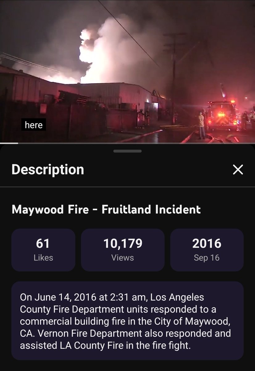 Tal Hagin tweet media