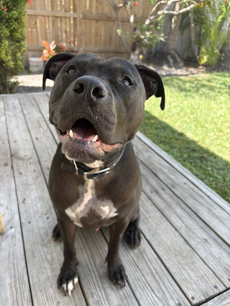 Gwen Filosa Media Key West tweet media