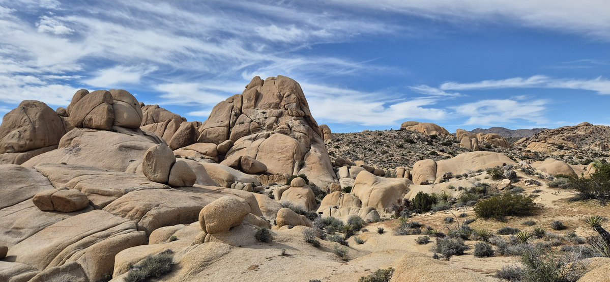 davidb 𓂀 tweet media