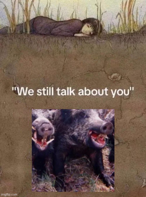 Gutted Angel 🔪🩸🪽🔞 tweet media