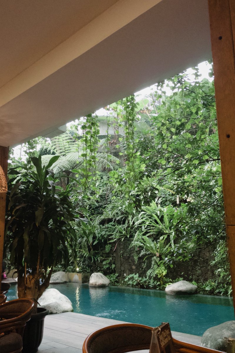 ʕᵔﻌᵔʔ tweet media