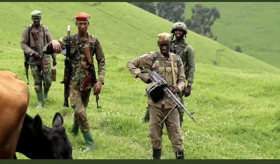 ‼️🔴‼️#M23RDF 🔴🇷🇼

Les Miliciens de #M23RDF, après avoir perdu leurs #commandants,ils  se sont transformés en épouvantails en urinant sur des #photos pour continuer à montrer au #monde qu'ils ont encore de l'espoir alors que beaucoup sont tués en silence. 

Selon notre Source,