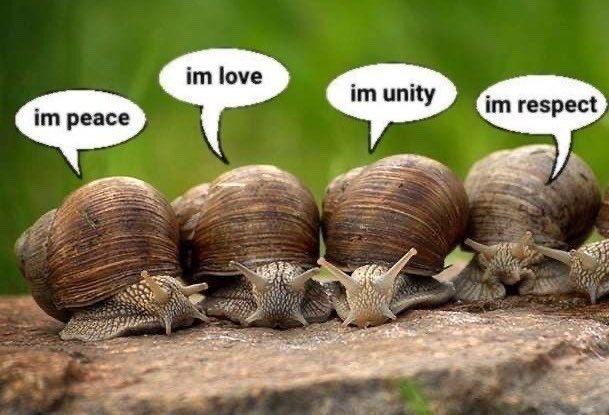 ⚭ (@lekimgym) on Twitter photo 