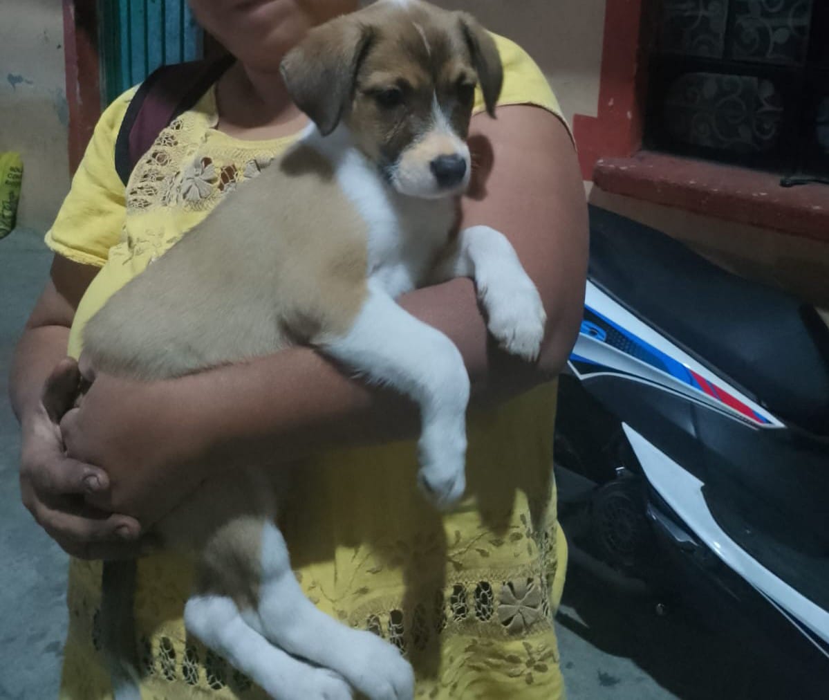 Ay amigos pues que les decimos :( es horrible vivir en zonas de alto abandono
Vivir en ellas y tener consciencia de la situación de maltrato y abandono , porque mucha gente vive aquí y no los ayuda ...
Resulta que mandamos alimento a uno de los hogares temporales, el taxista en