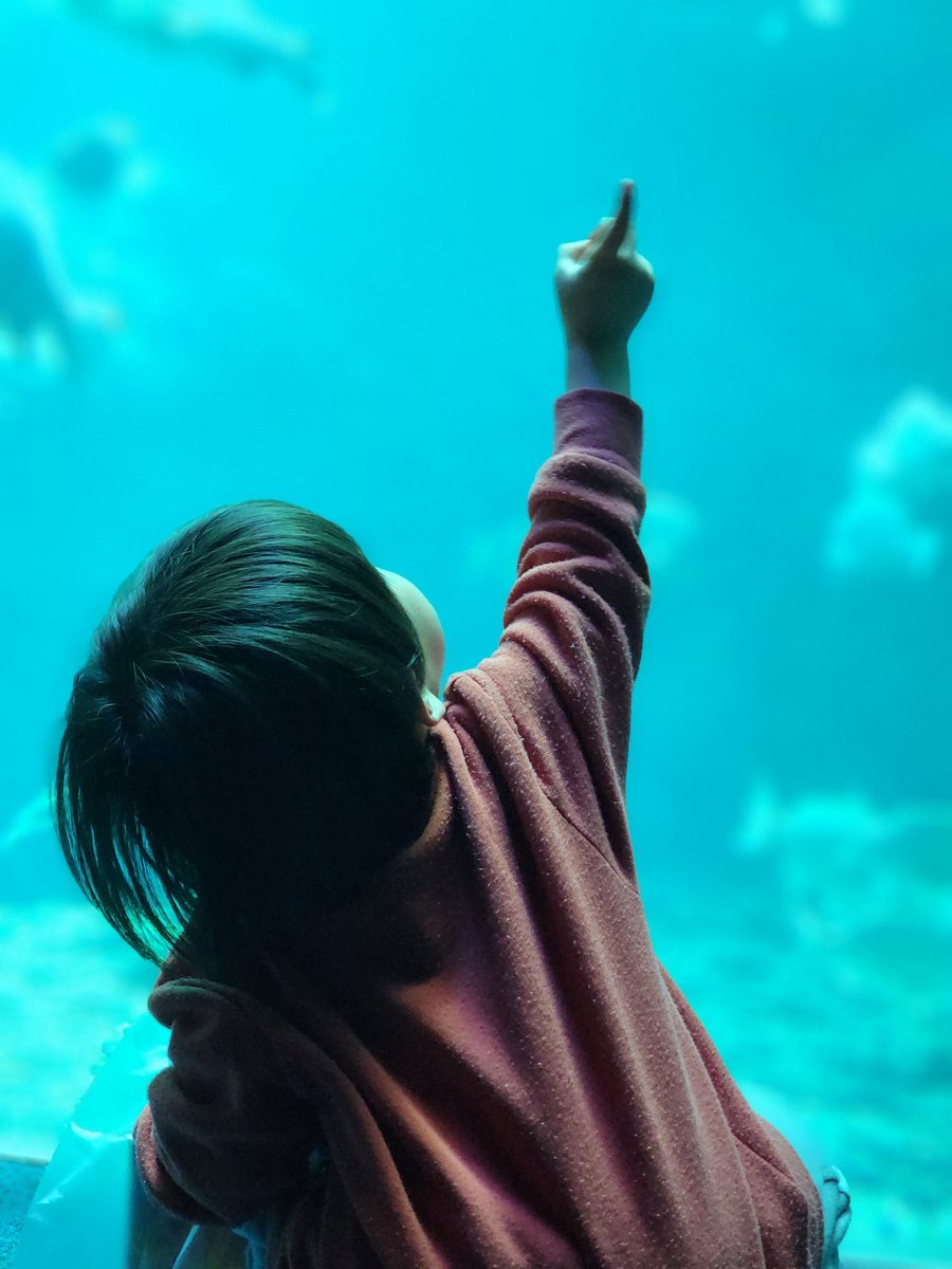 江ノ水行ってきた🐬🐟🐠🐡🐙