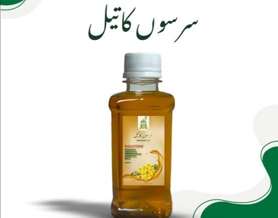 𝐒𝐡𝐚𝐡𝐳𝐚𝐢𝐛 𝐍𝐚𝐮𝐬𝐡𝐚𝐡𝐢 tweet media