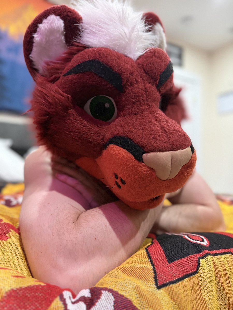 Chrys ➡️ TFF tweet media