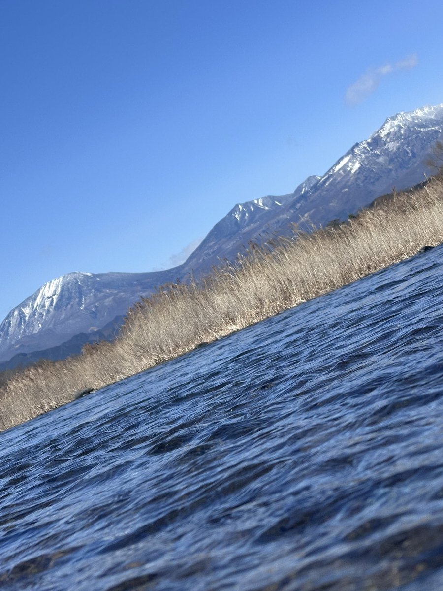 Turizanmai27's tweet image. やっぱり「美」😍
🐟あざまーす🙏

#DUO
#リュウキ45s
#VARIVAS
#GOMEXUS
#PR