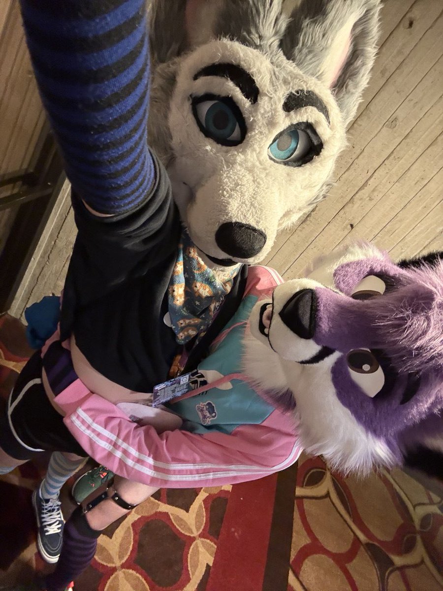 DaytonaHusky's tweet photo. Seems as though a @CaylenTheFox has decided to join in on the femboy fun this #FursuitFriday ~ 😳👉🏻👈🏻

Ain’t he cute??🥺 I definitely ain’t as cute as he is though!💙💙💙 

#Furry #Husky #Fox #FurryPride #HuskyButt #Fursuiter #FurryFandom #Fursuiters #Fursuiting 

📸: iPhone 16 Pro Max 
📍: MFF 2025 Chicago, Illinois