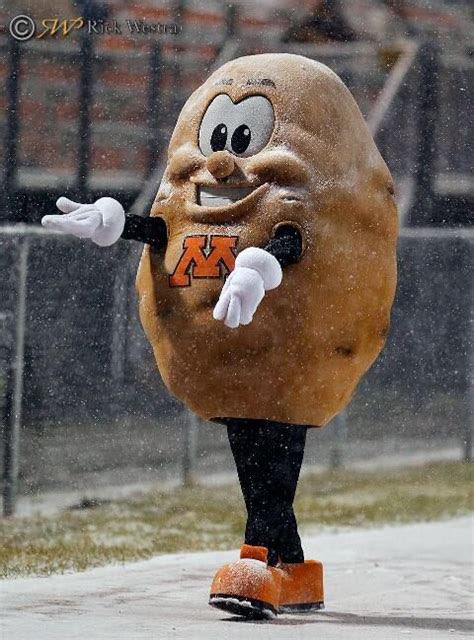 CathyWurzer's tweet photo. Best mascot in the #MSHL boys state high school hockey tourney?
The big potato for @MHSSpuds! (The tater is at tonight’s tourney) https://t.co/JUYsCo8gdx