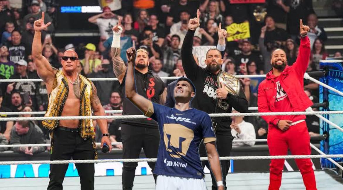 NotiGoya tweet media